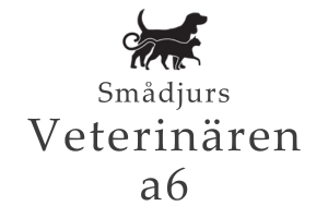 logo-dog-veterinarian-a6-300x200